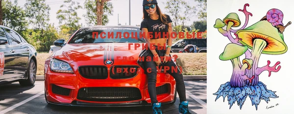 марихуана Новодвинск