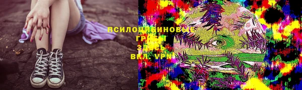 дживик Нягань